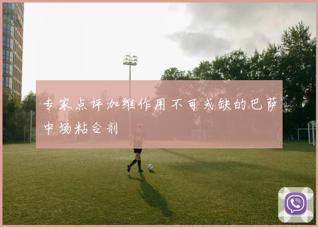 专家点评加维作用不可或缺的巴萨中场粘合剂