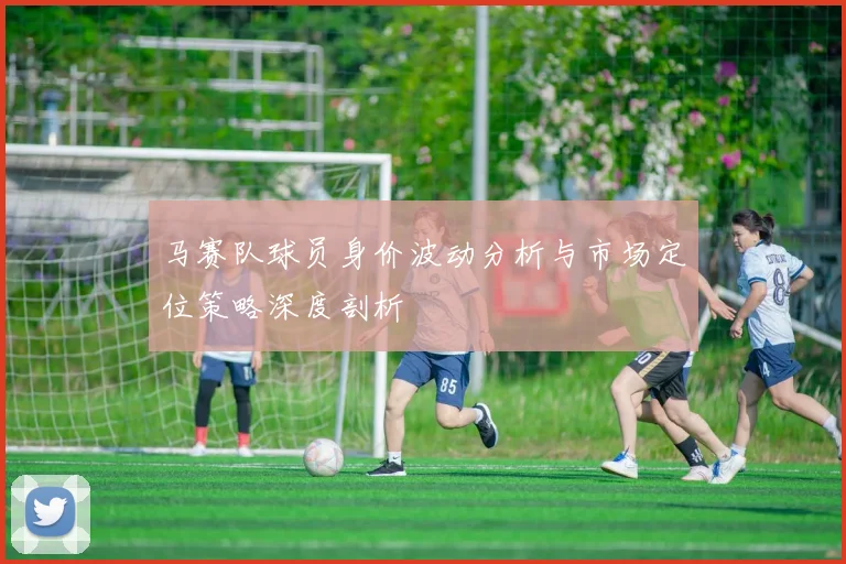 马赛队球员身价波动分析与市场定位策略深度剖析