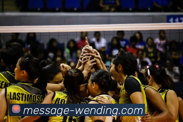 问鼎娱乐app平台生态图