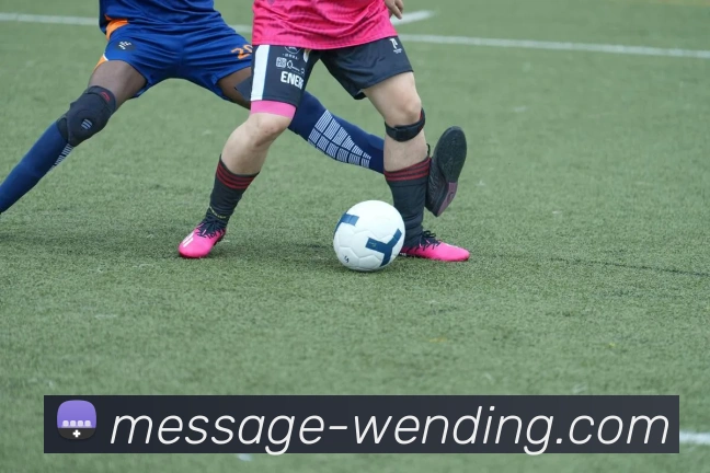 问鼎娱乐appAPP 封面图